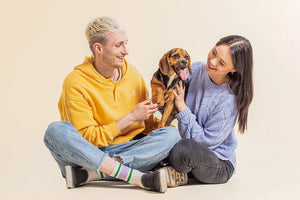 Umzug mit einem Hund: Ratschläge & Tipps