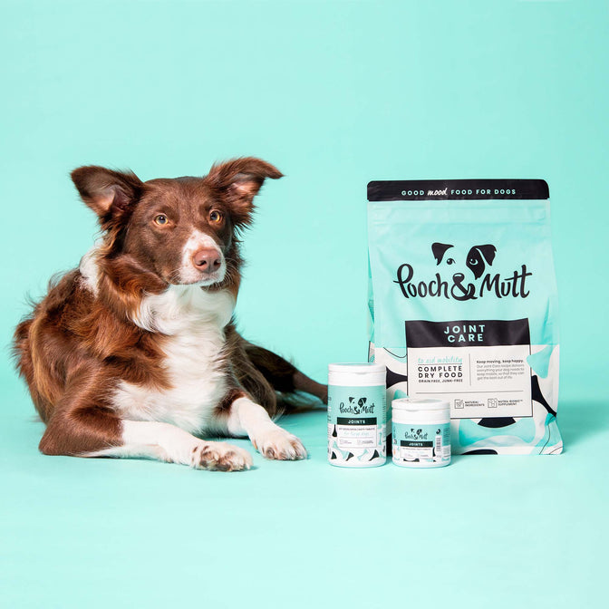 Joint Care Gelenktabletten für Hunde