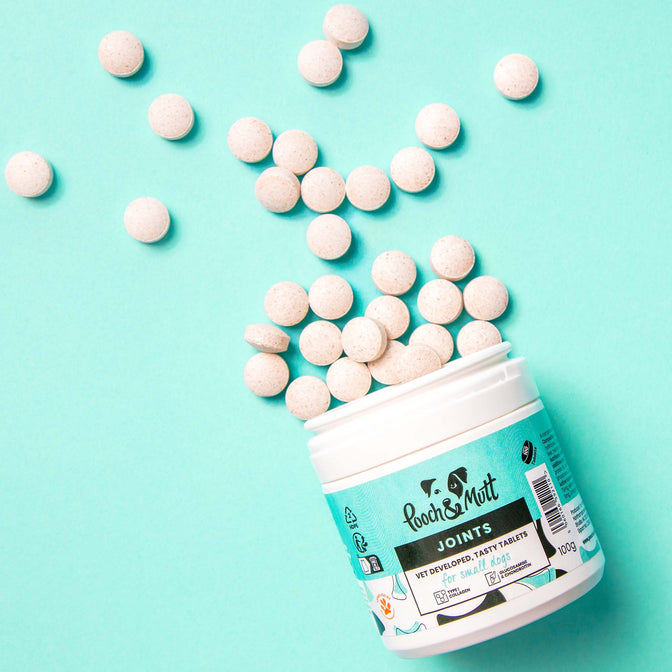 Joint Care Gelenktabletten für Hunde