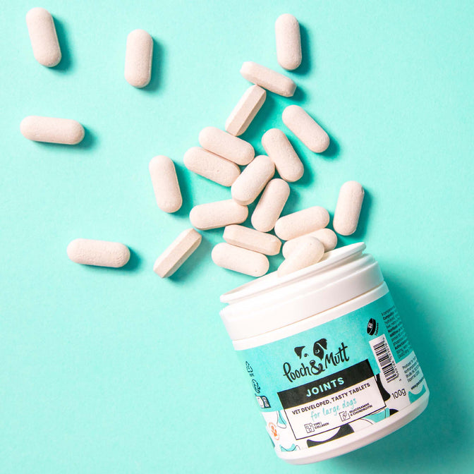 Joint Care Gelenktabletten für Hunde