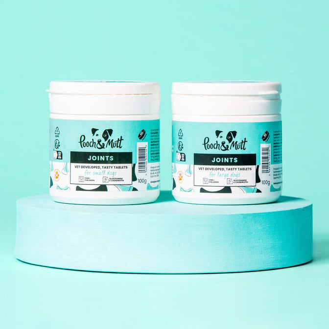 Joint Care Gelenktabletten für Hunde