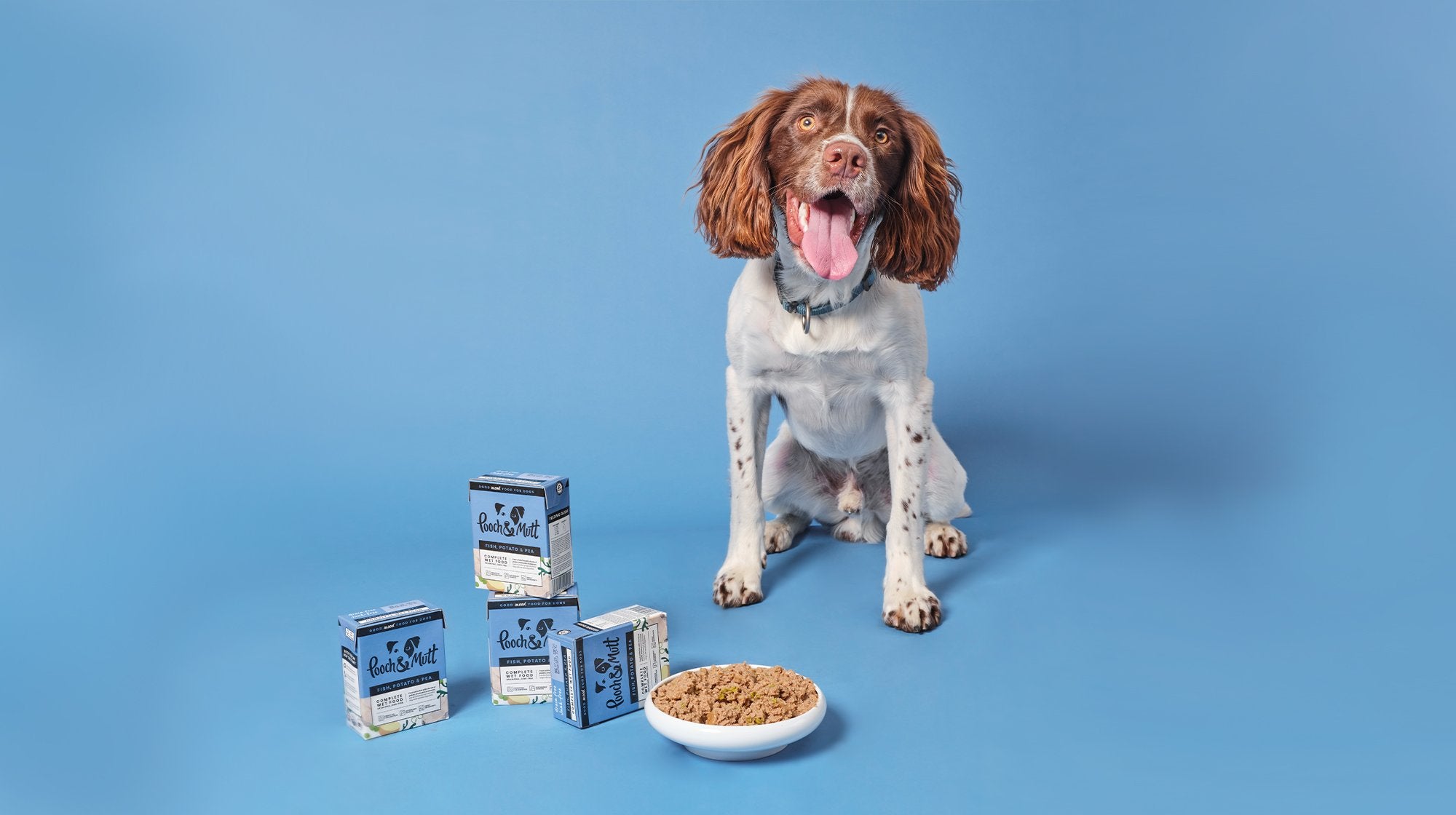Vorteile von fettarmer Nahrung fr Hunde | Pooch & Mutt
