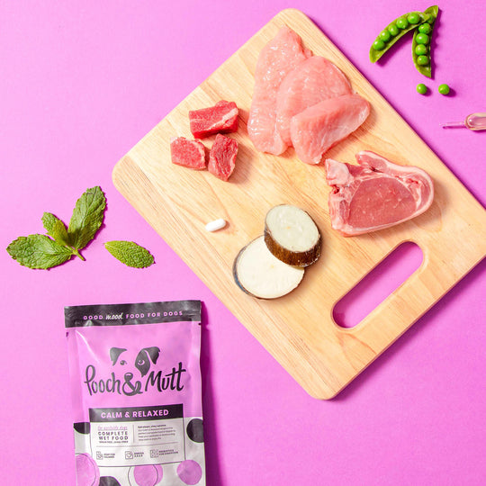 Calm & Relaxed Nassfutter