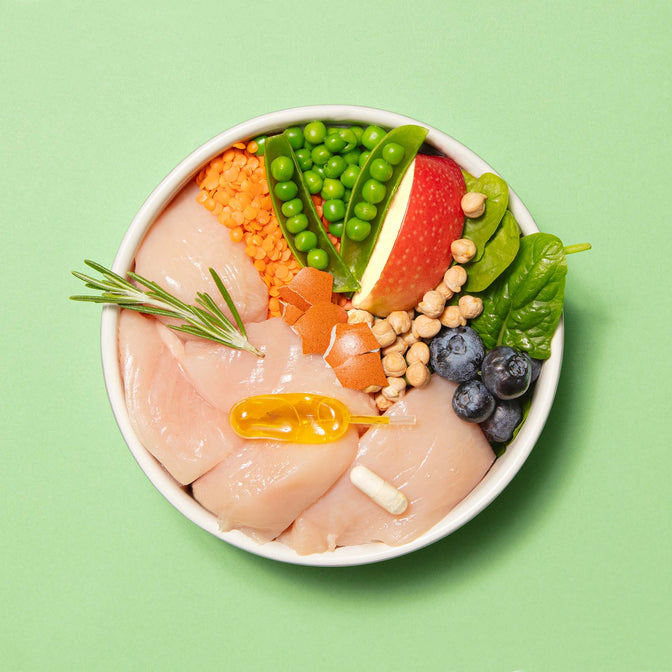 Single Protein Fresh Chicken Trockenfutter