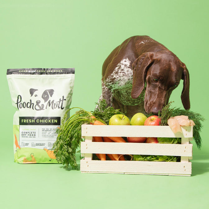 Single Protein Fresh Chicken Trockenfutter