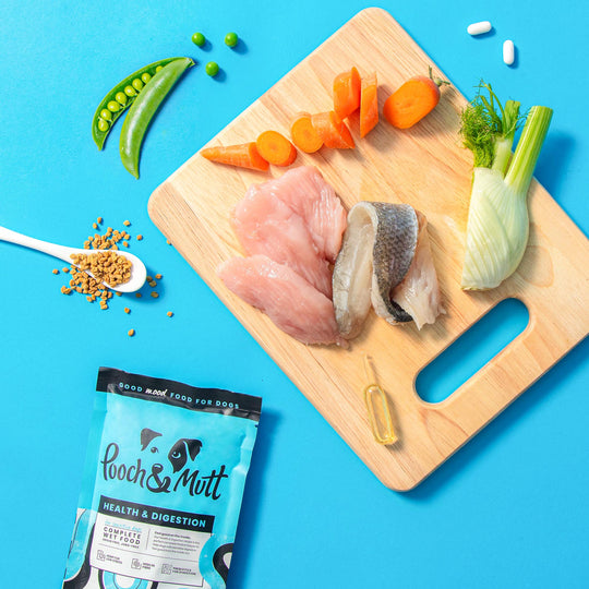 Health & Digestion Nassfutter