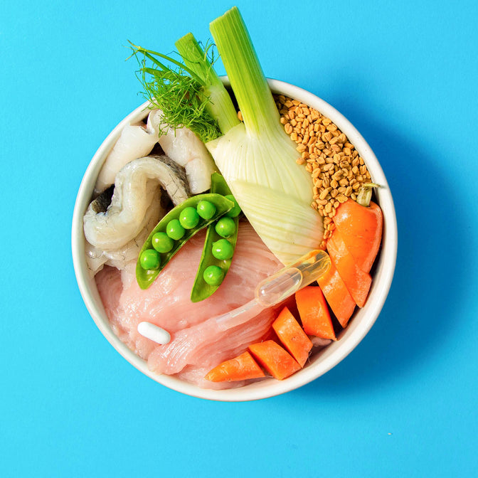Health & Digestion Nassfutter