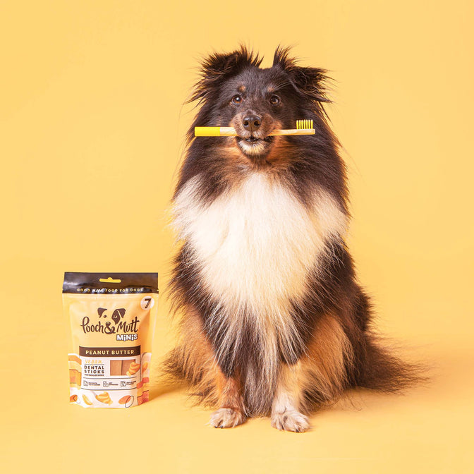 Peanut Butter Dental Sticks für Hunde