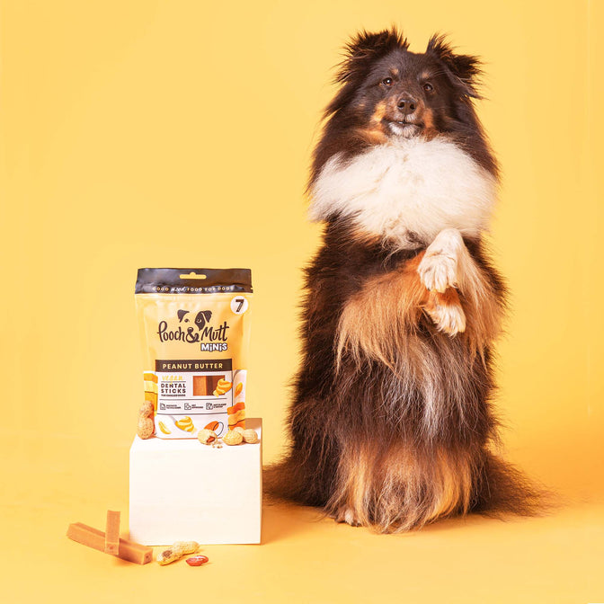 Peanut Butter Dental Sticks für Hunde