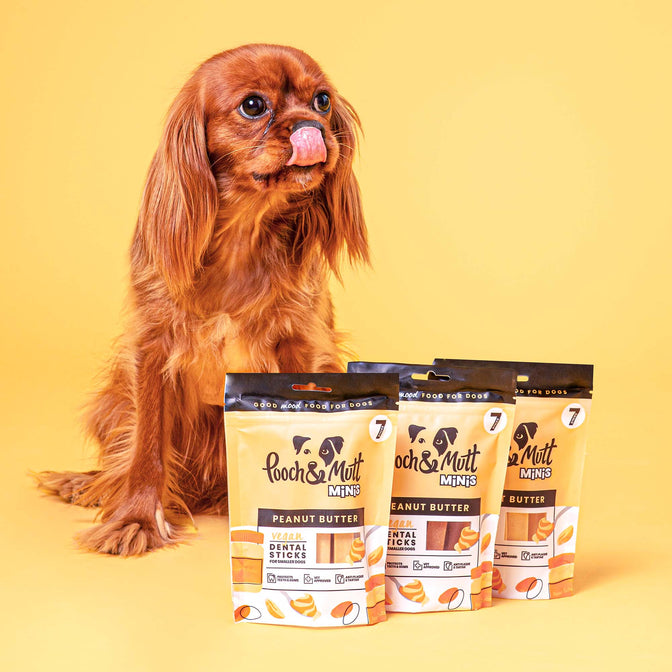 Peanut Butter Dental Sticks für Hunde