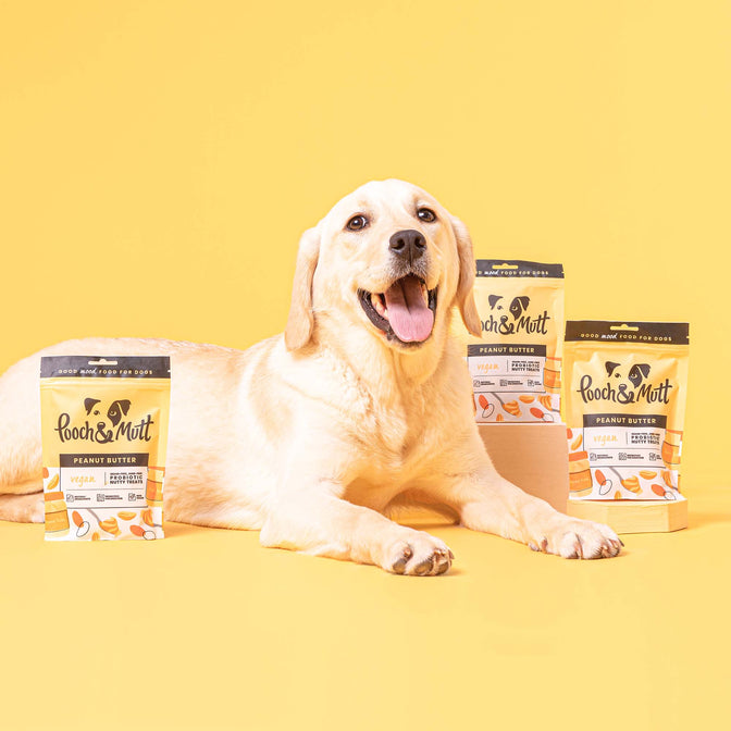 Peanut Butter Probiotic Nuss-Leckerlis