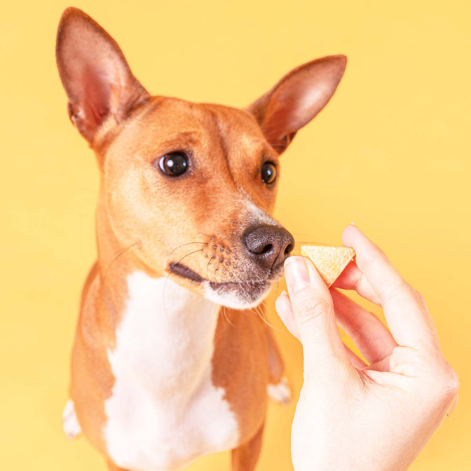 Peanut Butter Probiotic Nuss-Leckerlis