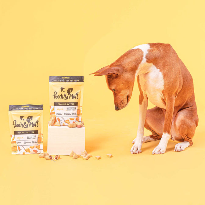 Peanut Butter Probiotic Nuss-Leckerlis