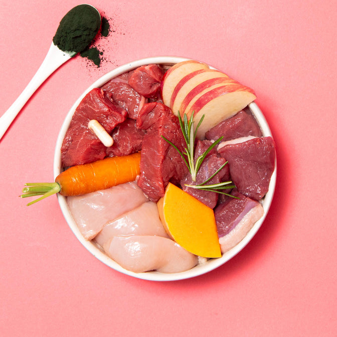 Primal Wild Boar High Meat Trockenfutter