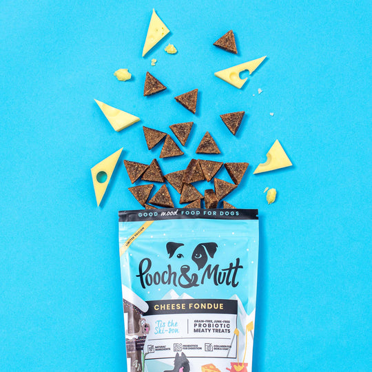 Cheese Fondue Fleisch-Leckerlis