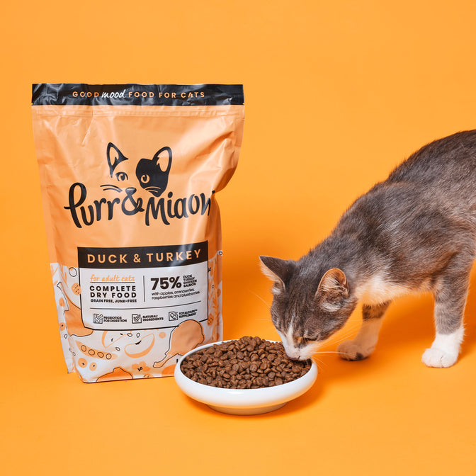 Duck & Turkey Katzen Trockenfutter