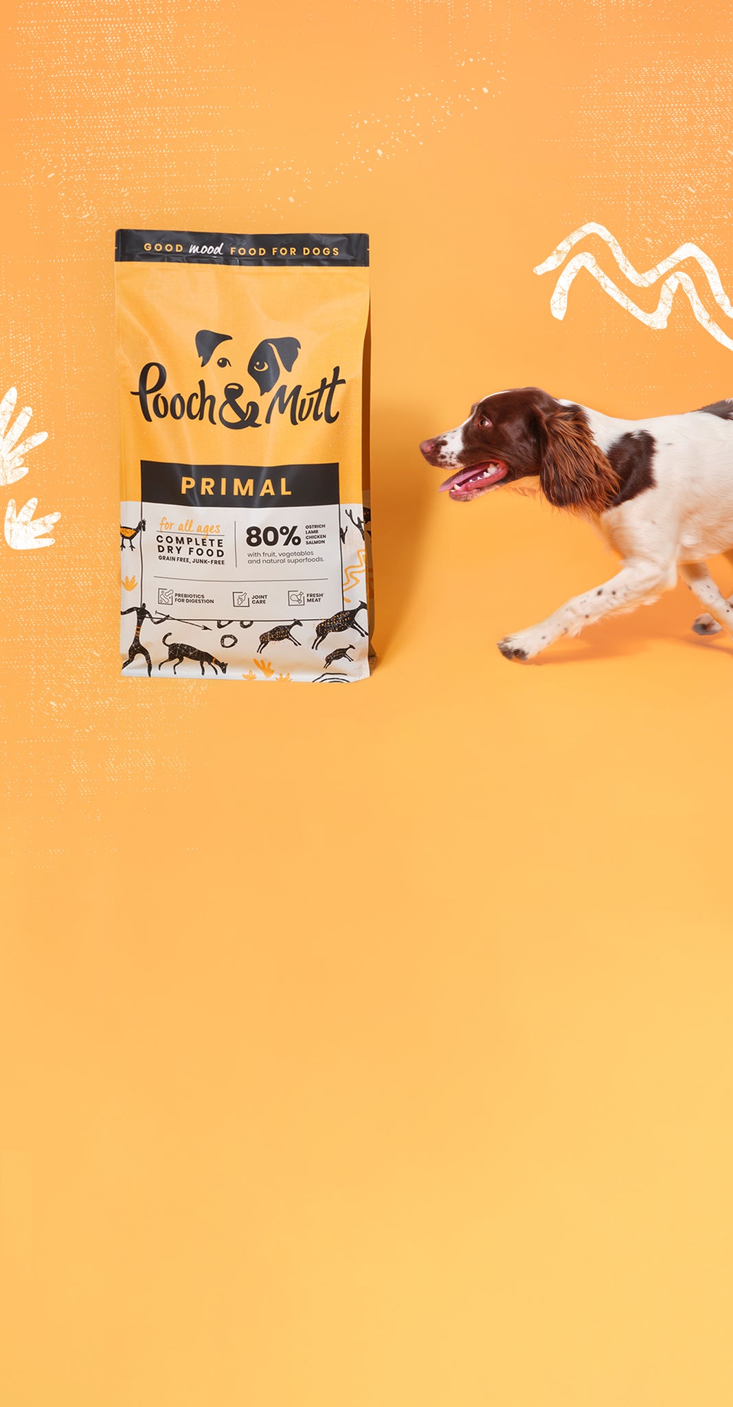 Primal Gefriergetrocknetes Hundefutter Rinder-Formel – 100% Human-grade, Getreidefrei Für Alle Altersstufen