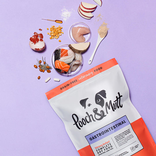 Gastrointestinal Trockenfutter für Hunde