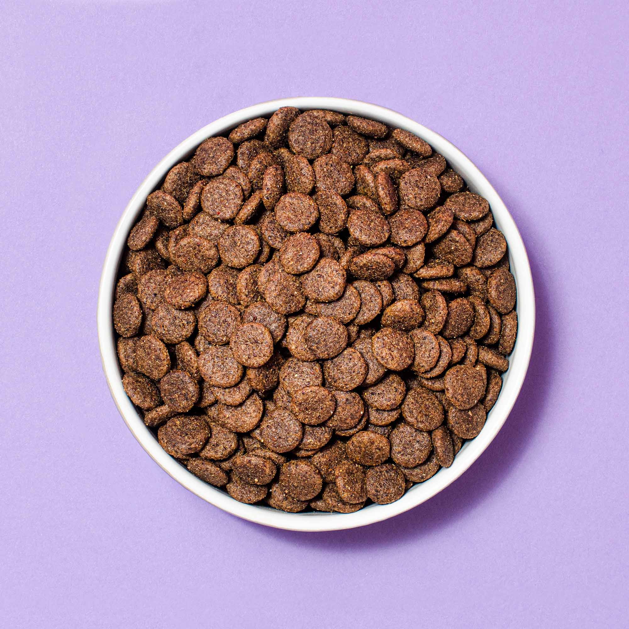 Gastrointestinal Hundefutter | Futter fr Hunde mit  Bauchspeicheldrsenentzndungen | Pooch & Mutt
