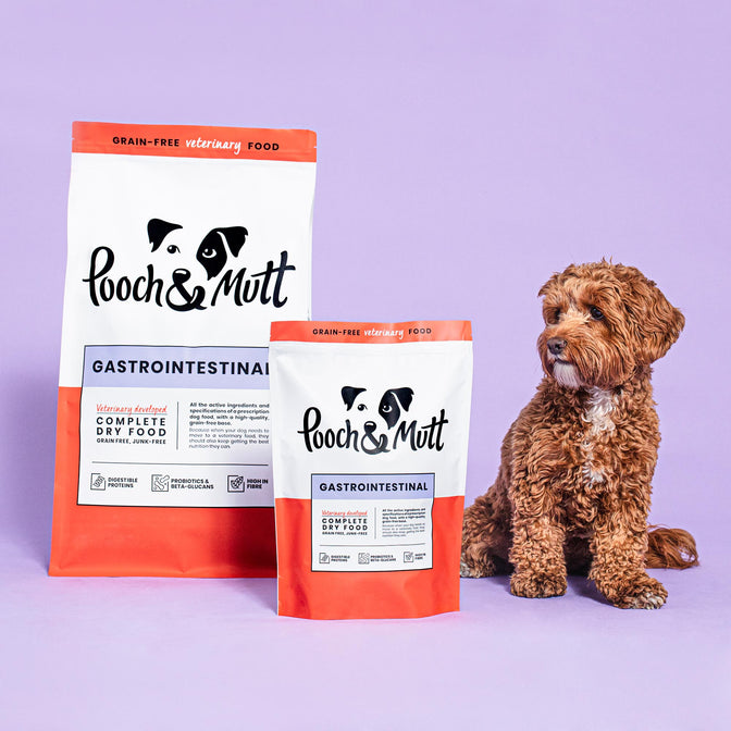 Gastrointestinal Trockenfutter für Hunde