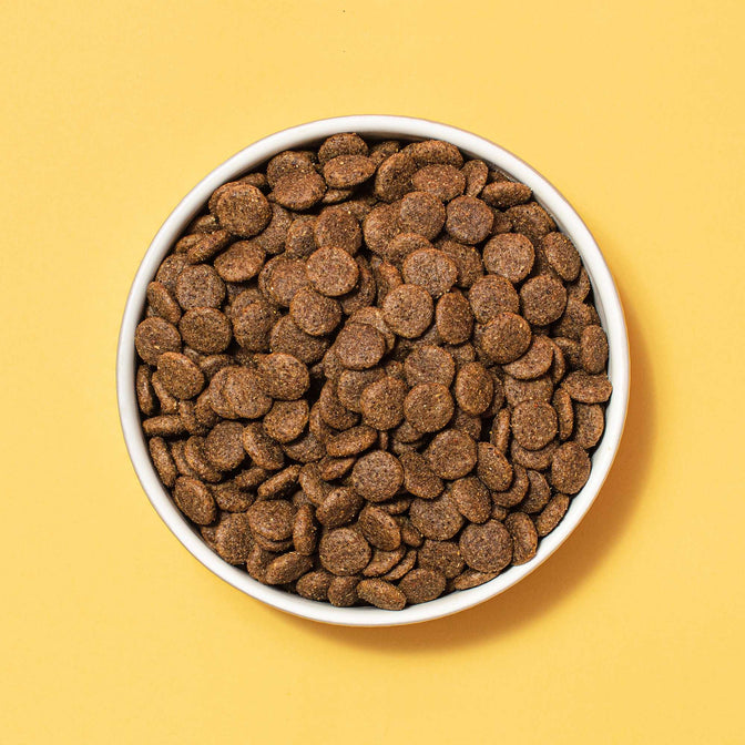 Hepatic Trockenfutter für Hunde