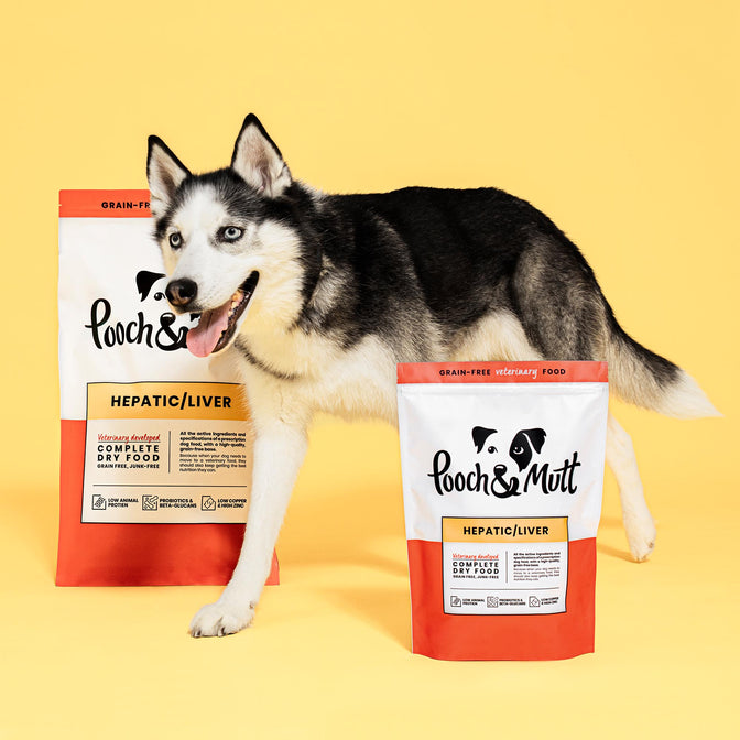 Hepatic Trockenfutter für Hunde