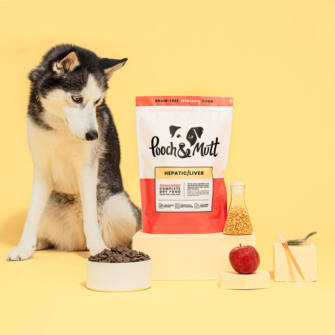 Hepatic Trockenfutter für Hunde