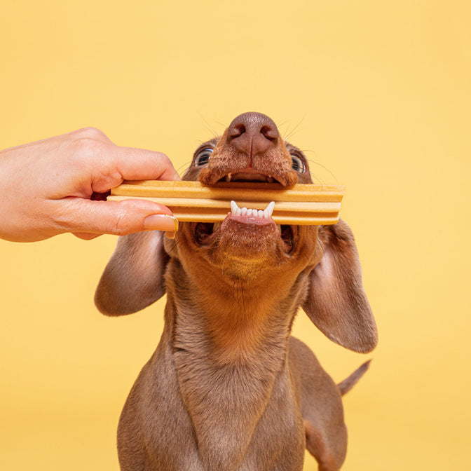 Peanut Butter Dental Sticks für Hunde