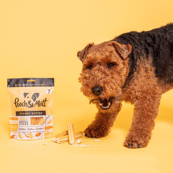 Peanut Butter Dental Sticks für Hunde
