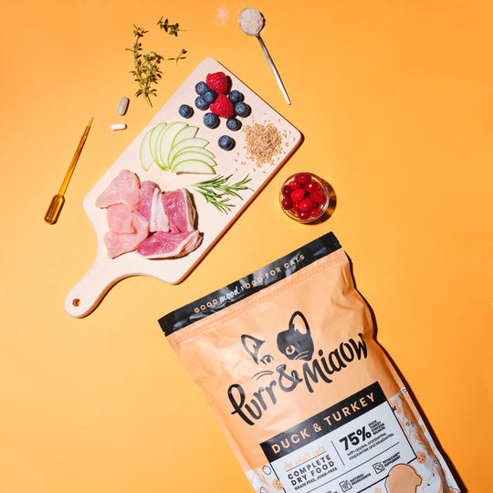 Duck & Turkey Katzen Trockenfutter