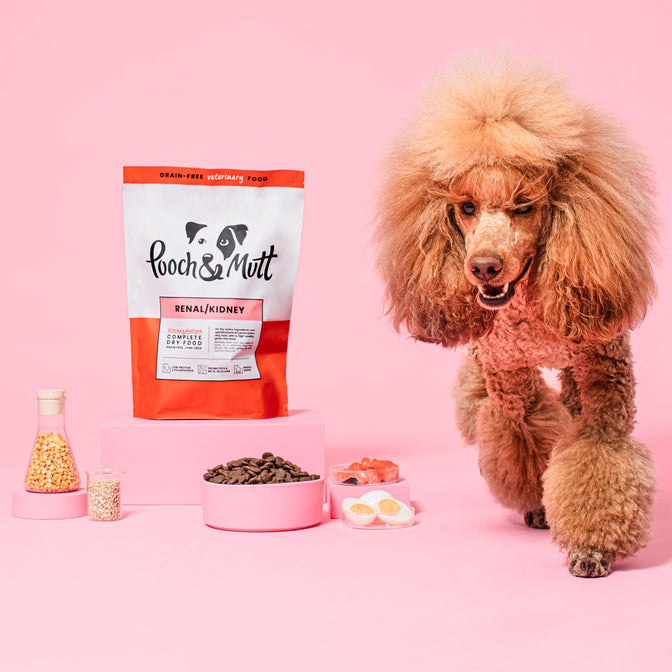 Renal Trockenfutter für Hunde