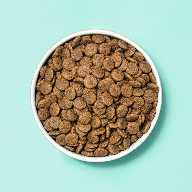 Sensitivity Trockenfutter für Hunde mit Allergien
