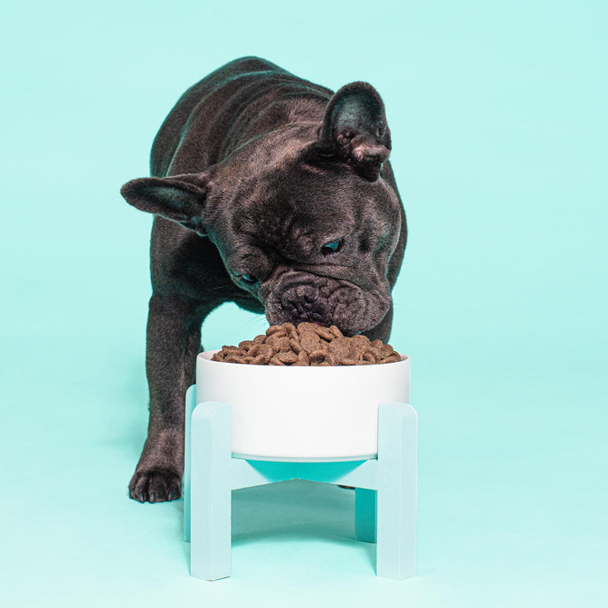 Sensitivity Trockenfutter für Hunde mit Allergien