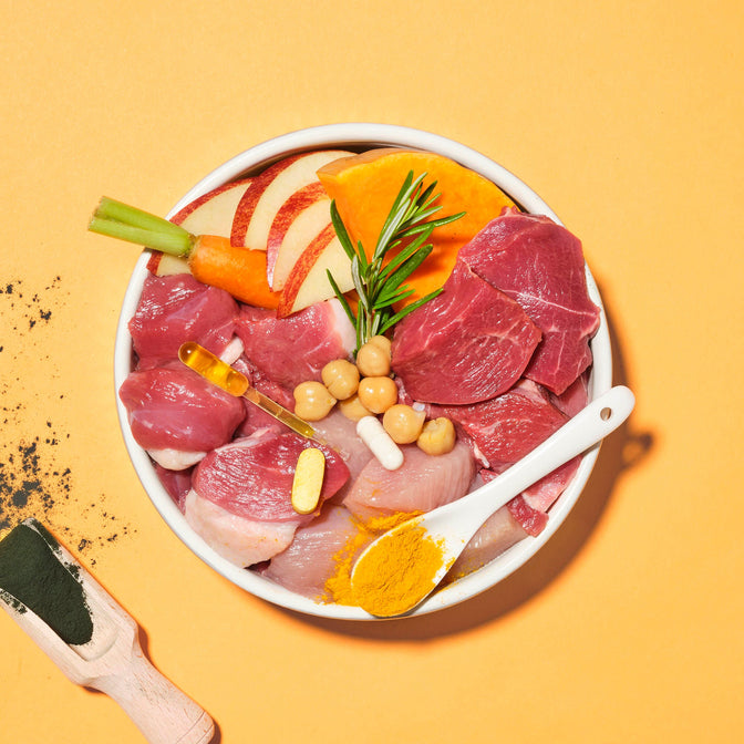 Primal High Meat Trockenfutter