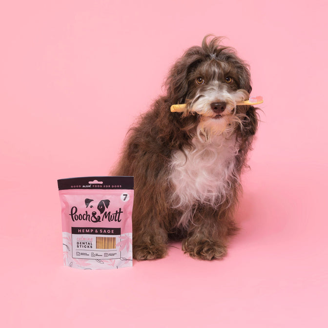Calming Dental Sticks für Hunde