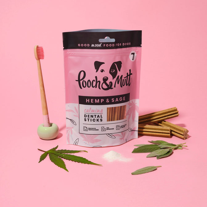 Calming Dental Sticks für Hunde
