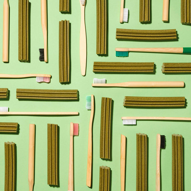 Superfood Dental Sticks für Hunde