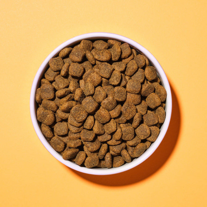 Adult Complete Superfood