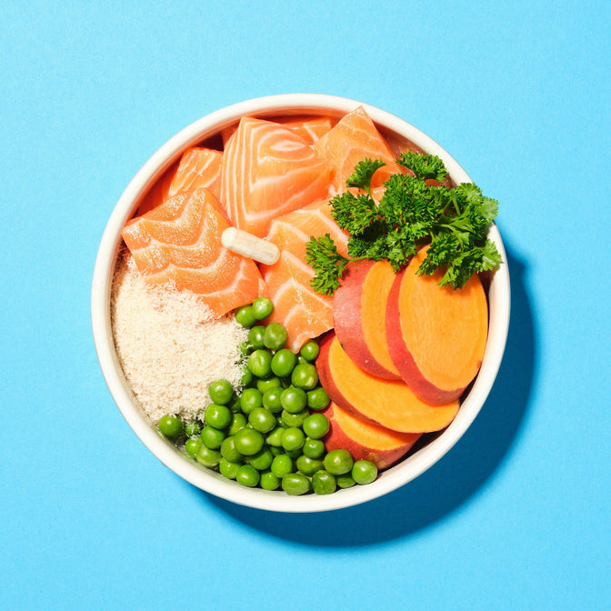 Health & Digestion Trockenfutter