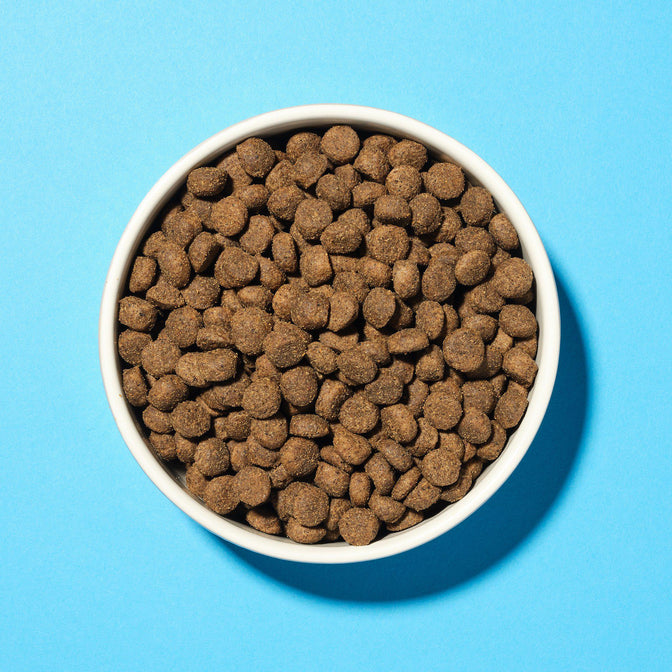Health & Digestion Trockenfutter