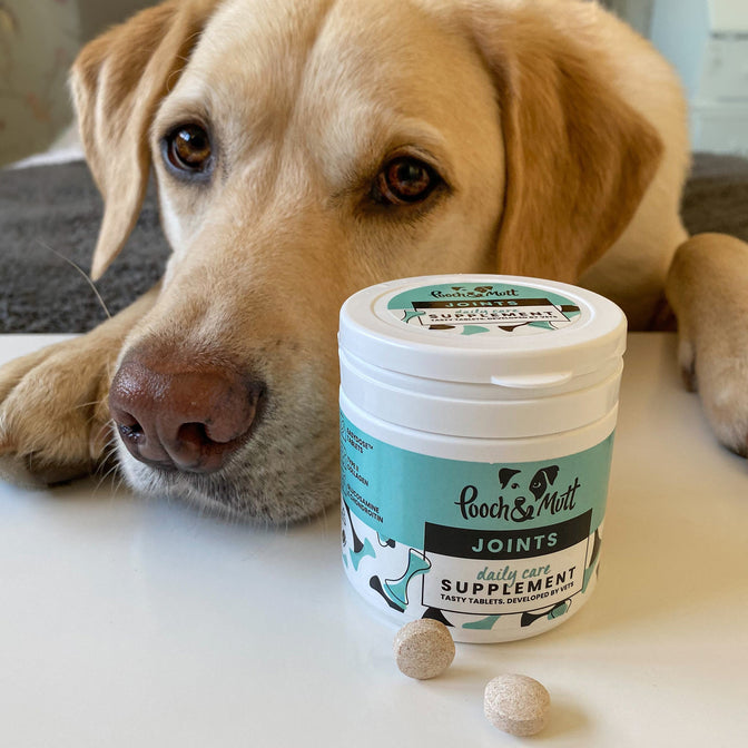 Joint Care Supplement For Dogs