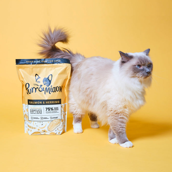 Salmon & Herring Katzen Trockenfutter