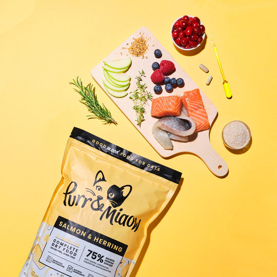 Salmon & Herring Katzen Trockenfutter