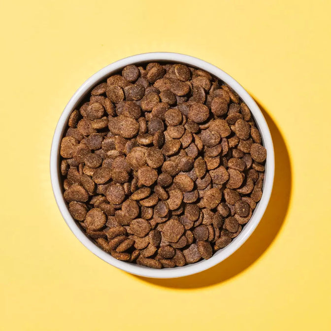 Soft & Shiny Dry Food For Dogs