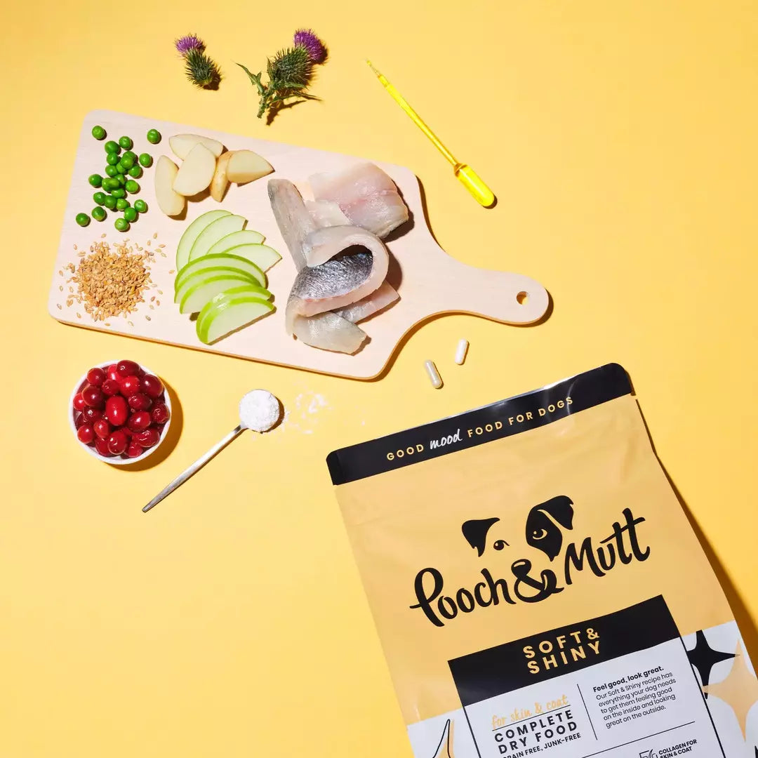 Komplette Palette an gesundheitsorientiertem Hundefutter