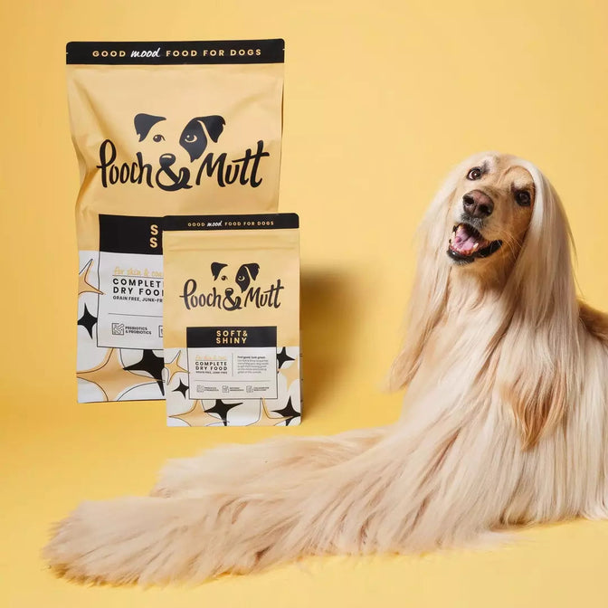 Soft hard food for dogs on sale
