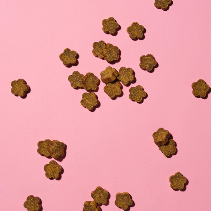 Calming Probiotic Fleisch-Leckerlis