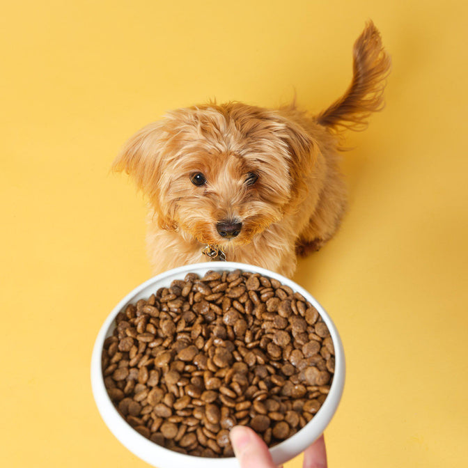Small Complete Superfood