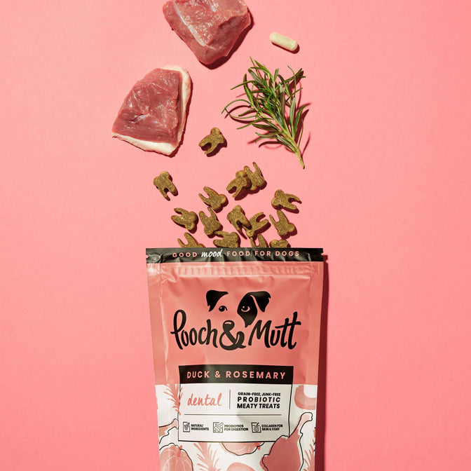 Dental Probiotic Fleisch-Leckerlis