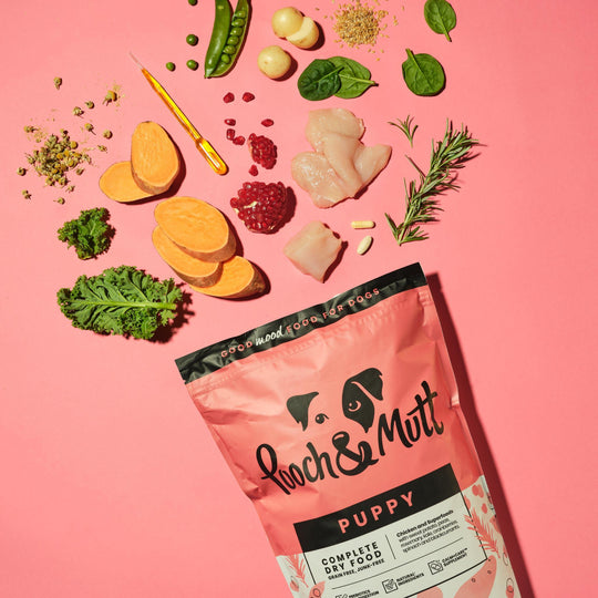 Puppy Complete Superfood